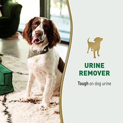 Nature's Miracle Dog Urine Remover, Enzymatic Cleaner, 1 gal