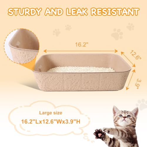 Disposable Litter Boxes for Cats, Durable and Water Resistant, Sustainable Large Disposable Litter Box, Disposable Cat Litter Boxes for Indoor/Travel Use, Standalone or as Liner (Brown, Large 5-Pack)