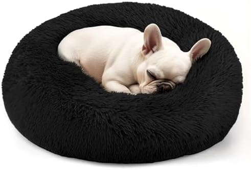 Hoewina Dog & Cat Bed, 20in Cat Beds for Indoor Cats (Black)