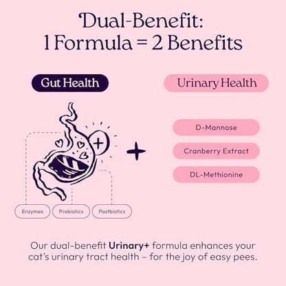 WellJoy Urinary Cat Supplement + D-Mannose, Cranberry, GutBoost, 90ct