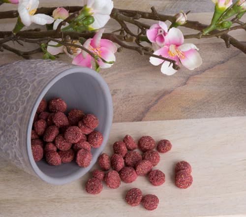 Bunny Nature - Crispy Snack - Beetroot Crunchy Treat – Natural, Nutrient-Rich Snack with Sunflower Oil for Rabbits & Small Animals