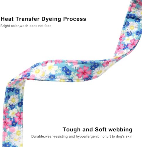 Lionet Paws Floral Dog Collar- Cute Spring Wildflowers Daisy Forget Me Not Dog Collars with Plastic Buckle, Light Adjustable Dog Collars for Small Medium Dogs