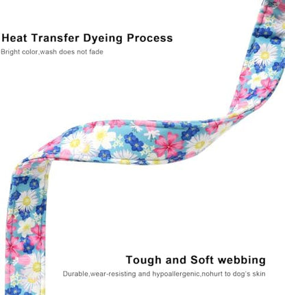 Lionet Paws Floral Dog Collar- Cute Spring Wildflowers Daisy Forget Me Not Dog Collars with Plastic Buckle, Light Adjustable Dog Collars for Small Medium Dogs