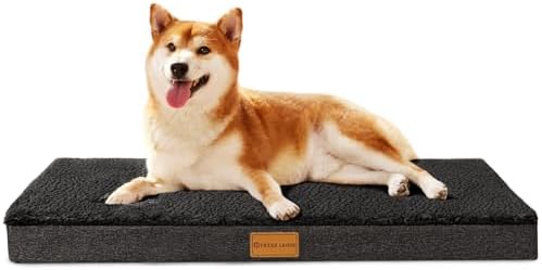 Patas Lague Orthopedic Medium Dog Bed Washable Pet Sofa Mat 30''X20''Black