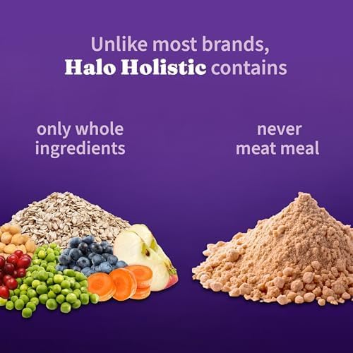 Halo Holistic Dry Dog Food, Vegan Plant-Based Recipe, Superfoods, 21 lb