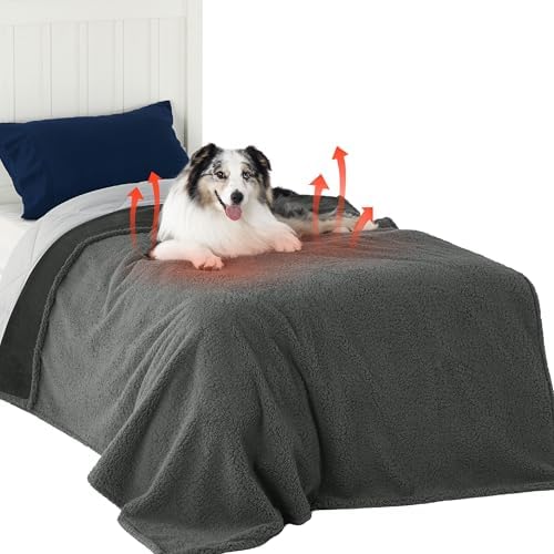 Bedsure Self Warming Waterproof Blanket for Bed - Twin Size (80"x60") Grey