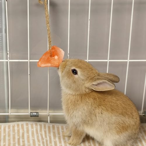 Hamiledyi 16 PCS Rabbit Salt Lick Block Natural Small Animal Himalayan Salt Lick Chew Toys with Hanging Rope Rat Mineral Block Chew Treat Supplies for Bunny Guinea Pig Chinchilla Ferret Hametsr