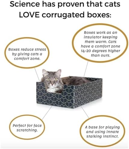 Brightspot Purrfect Cat Box in Blue