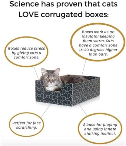 Brightspot Purrfect Cat Box in Blue