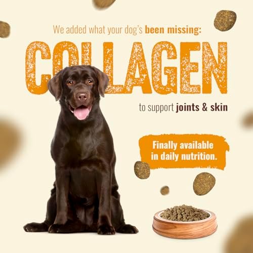 Natural Farm High Protein Dry Dog Food for All Life Stages with Collagen, Every Bag Contains 70% Real Chicken and 30% Ancient Super Food Grains, Complete and Balanced Nutrition, 22.5Lb Bag.