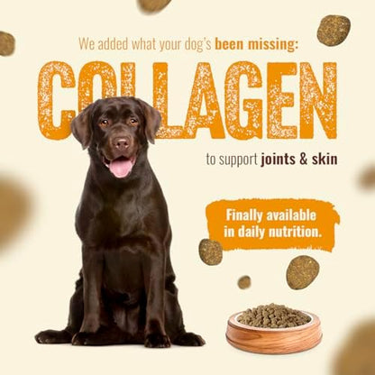 Natural Farm High Protein Dry Dog Food for All Life Stages with Collagen, Every Bag Contains 70% Real Chicken and 30% Ancient Super Food Grains, Complete and Balanced Nutrition, 22.5Lb Bag.