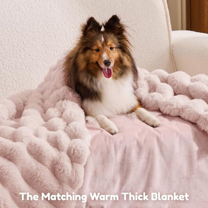ChiXnuggle Orthopedic Human Dog Bed,Striped Faux Fur Washable Cover,Blanket