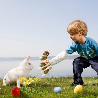 3PCS Bunny Chew Toys Rabbit Treats Timothy Hay Grass Cakes for Guinea Pig