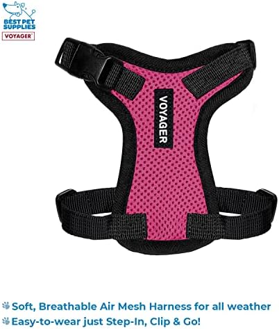 Best Pet Supplies Voyager Step-in Lock Pet Harness w Reflective Pet Leash Combo Set with Neoprene Handle 5ft - Supports Small, Medium and Large Breed Puppies/Cats - Fuchsia/Black Trim, XXXS