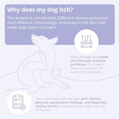 4 Spray Conditioner for Dogs, Cats and Horses, 8 oz
