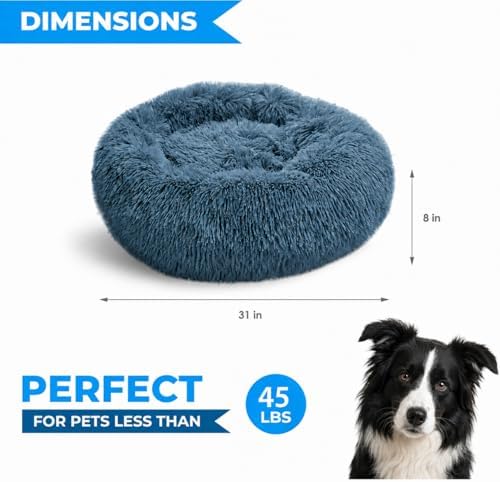 Whiskers & Friends Round Dog Beds for Medium Dogs, Orthopedic, Washable