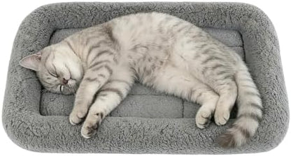 LESYPET Cat Bed for Indoor Cats, Cat Bed Curl Sleep Cushion with Raised Pillow Around, Washable Pet Mat for Cat/Rabbit/Dog, 16" x 22"