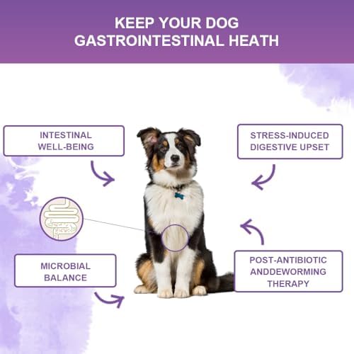 Dog Probiotic Chews 120 Count – 6 Billion CFU, 6 Strains