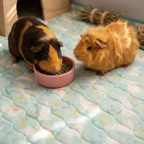 Guinea Pig Cage Liner, 59"x31" Bedding for C&C 2x4 Cage 2 Pack, Green