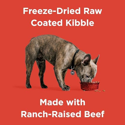 BIXBI Rawbble Freeze-Dried Raw Coated Dog Food, Beef – Fresh Meat, No Meat Meals, Grain-Free – USA Made, 4 lbs