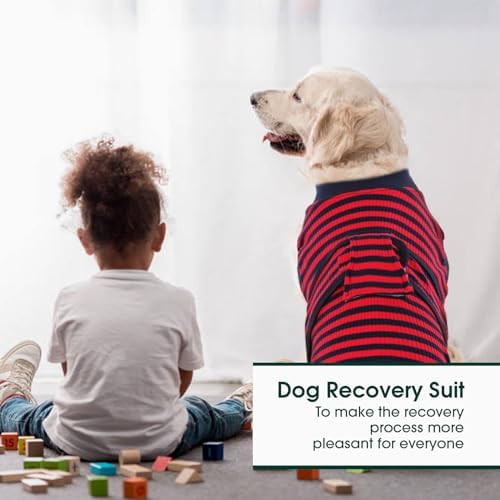 Kuoser Recovery Suit for Dogs Cats, Soft Dog Surgery Suit Female Male Spay