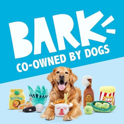 BarkBox Marley & Gnarley's Chain Dog Toy - Toy for Medium to Large Dogs