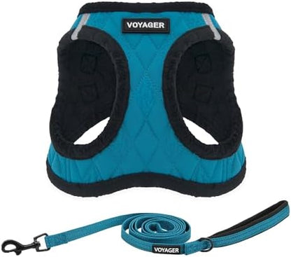 Best Pet Supplies Voyager Step-in Plush Dog Harness - Soft, Step in Vest Harness and Reflective Dog 5 ft Leash Combo with Neoprene Handle for Small and Medium Dogs, Turquoise Plush, XS