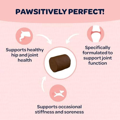 Hip and Joint Chews for Dogs | Dog Glucosamine Chews for Comfort & Mobility with Chondroitin MSM & Turmeric | Dog Joint Supplement for All Ages & Sizes | NASC Certified & Made in The USA | 90 Chews