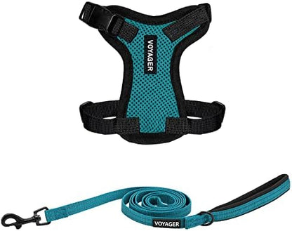 Best Pet Supplies Voyager Step-in Lock Pet Harness w Reflective Pet Leash Combo Set with Neoprene Handle 5ft - Supports Small, Medium and Large Breed Puppies/Cats - Turquoise/Black Trim Set, XXS