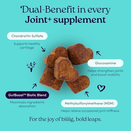 WellJoy Joint Dog Supplement + Glucosamine, Chondroitin, GutBoost, 90ct