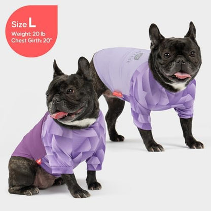 KYEESE 2Pack UPF50+ Dog Shirt for Small Dogs Cooling UV Protection Tank Top
