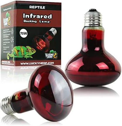LUCKY HERP 75W Reptile Heat Lamp Bulbs 2 Pack, Reptiles & Amphibians Infrared Basking Spot Lamp, Heat Light Bulb for Turtle, Bearded Dragon, Lizard