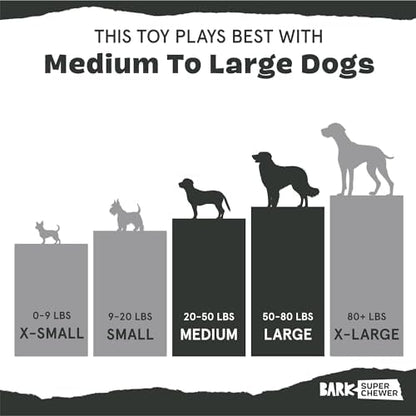 BarkBox Sven The Hedgie Super Chewer Dog Toy - Large