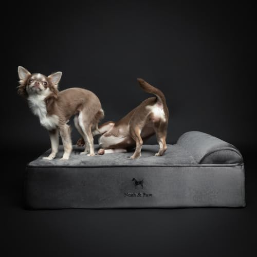 NOAH & PAW Dog Bed, 28x23x7.5 Inch, Orthopedic Dog Beds for Medium Size Pets, Eggshell Memory Foam Infused with Cooling Gel, Water Resistant, Machine Washable, Includes Inner Cover (Velvet Collection)