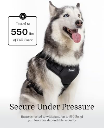 Fei & Eve Classic Dog Harness