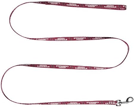 Littlearth NFL Unisex NFL Pet Leash
