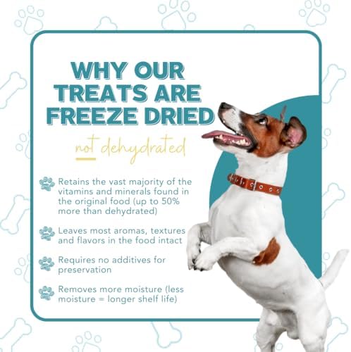 Salmon Cranberry Freeze Dried Dog Treats USA Sourced and Small Batch Made - Human-Grade, All Natural Superfood Dog Snacks Without Artificial Preservatives, Grain Free - 3.5 oz