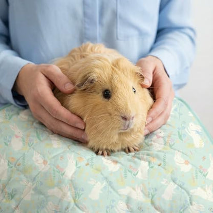 Guinea Pig Cage Liner, 59"x31" Bedding for C&C 2x4 Cage 2 Pack, Green