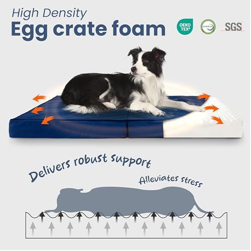 Laifug Foldable Waterproof Dog Bed for Large Dogs - Outdoor Orthopedic Dog Bed with Washable Removable Cover, Pet Mattress with Handles, Navy Blue, (44 x 32 x 3.5 inches)