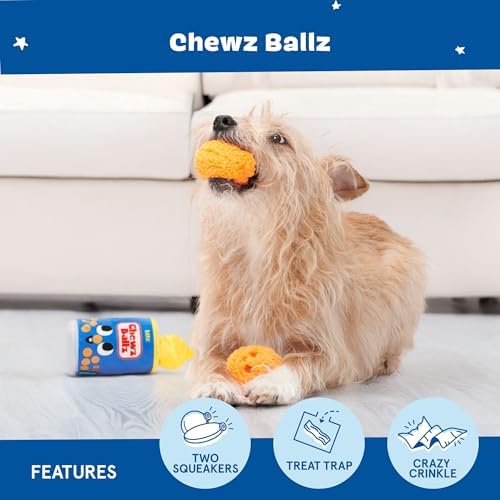BarkBox Chewz Ballz 3-in-1 Interactive Plush Dog Toy