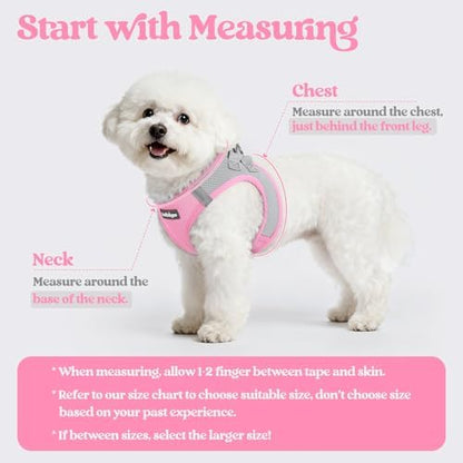 rabbitgoo Dog Harness Medium Sized and Leash Set, Step-in Puppy Pet Vest