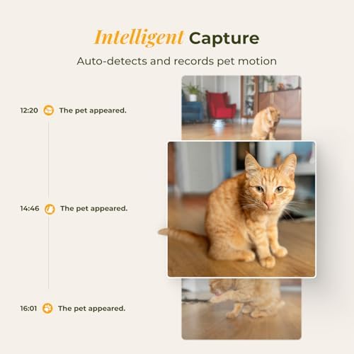 ARENTI Automatic Cat Feeder with Camera, 4L Auto Cat Food Dispenser for Cats, Smart WiFi Pet Feeder with App, 2K HD Two-Way Audio Meal Call, Dual Power, Color Night Vision, 2.4GHz/5GHz & Bluetooth