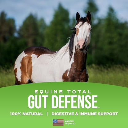 Equine Total Gut Defense– All-Natural Digestive & Immune Support Supplement for Horses – Maintains Ph Levels – Supports Digestion - 100% Natural – Made in USA