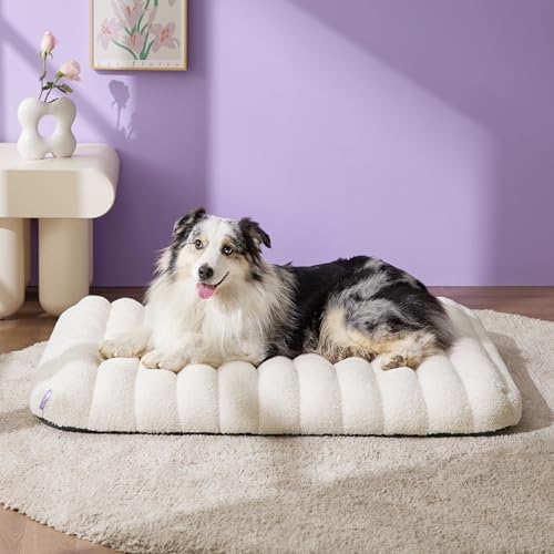 LE SURE Cute Orthopedic Dog Bed Large Sized Dog, Flat Pet Mat,36x27in Cream