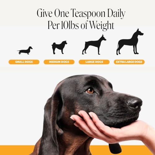 Pet Honesty Anti-Itch Salmon Oil, Itchy Skin Relief, 16 oz