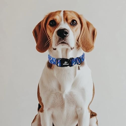 Boy Dog Collar Cute Rocket Space Dog Collars for Puppy Small Dogs - Lightweight Adjustable Cute Male Dogs Everyday Collar with Safety Buckle XS
