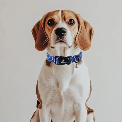 Boy Dog Collar Cute Rocket Space Dog Collars for Small Dogs - Lightweight Adjustable Cute Male Dogs Everyday Collar with Safety Buckle S