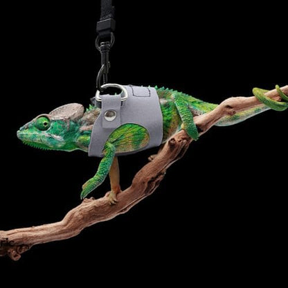3PCS Bearded Dragon Harness and Leash Set | 3 Size Adjustable Reptile Leash