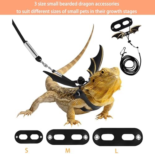 Bearded Dragon Carrier with Harness and Leash Small Pet Carrier