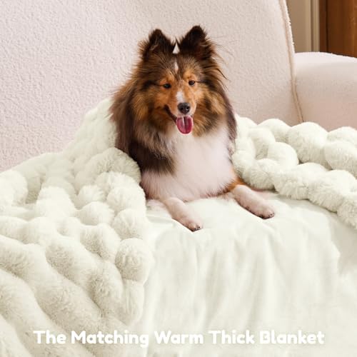 ChiXnuggle Orthopedic Human Dog Bed,Striped Faux Fur Washable Cover,Blanket